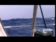Rough Seas 3 511